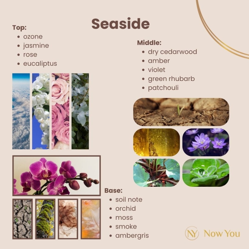 weganski-wklad-uzupelniający-seaside-now-you