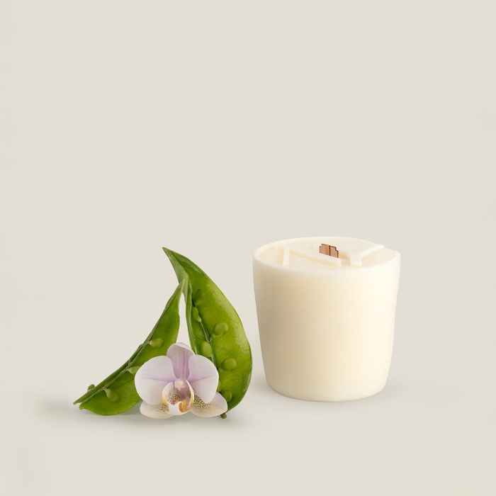 Orchidea i zielony groszek wkład.jpg